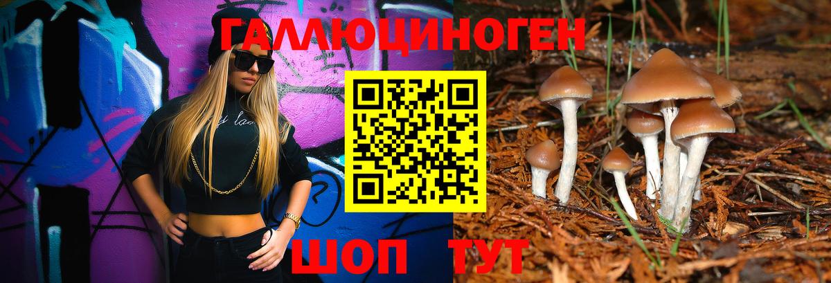 Нижневартовск  купить закладку  Вход с VPN  Галлюциногенные грибы GOLDEN TEACHER 